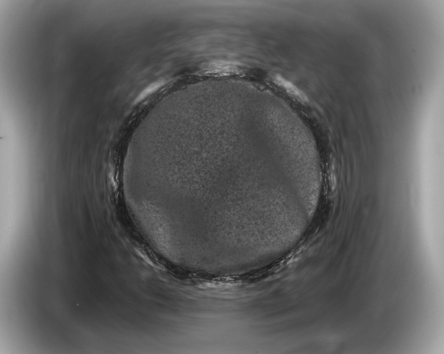 X0000085081206200703191316