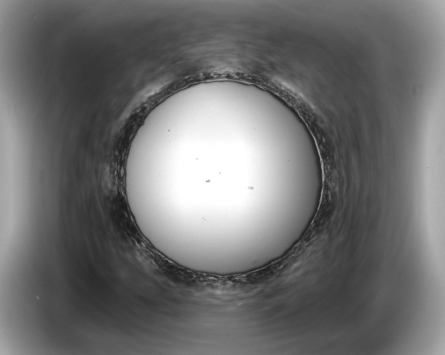 X0000085081207200703191316