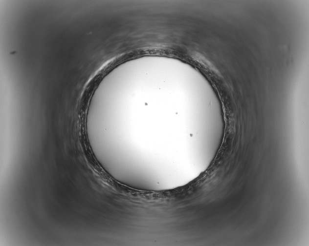 X0000085081208200703191316