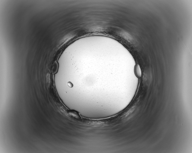 X0000085081209200703191316