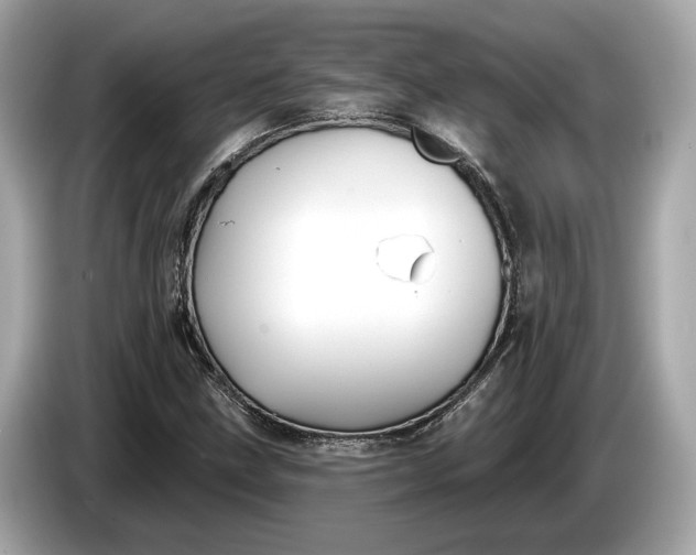 X0000085081211200703191316