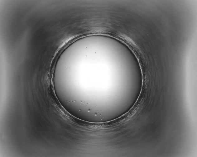 X0000085081212200703191316