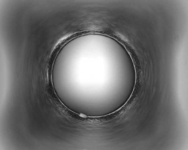 X0000085081214200703191316