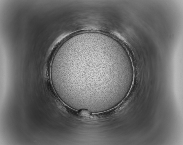 X0000085081215200703191316