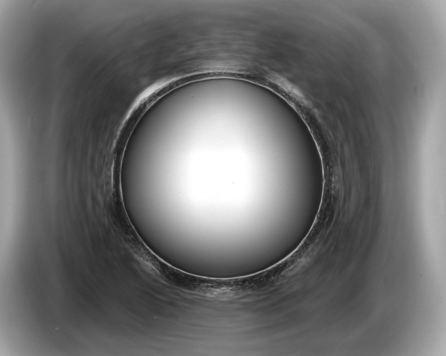 X0000085081222200703191316