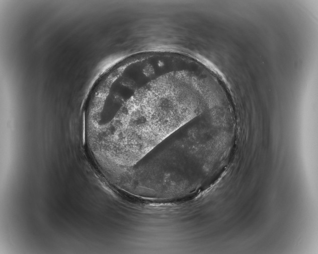 X0000085081223200703191316