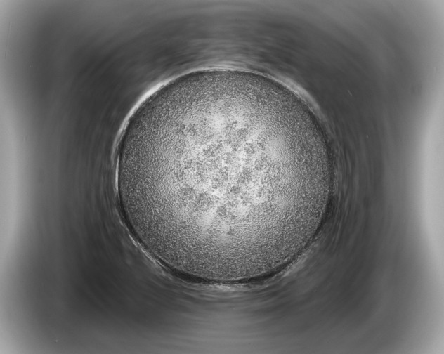 X0000085081224200703191316