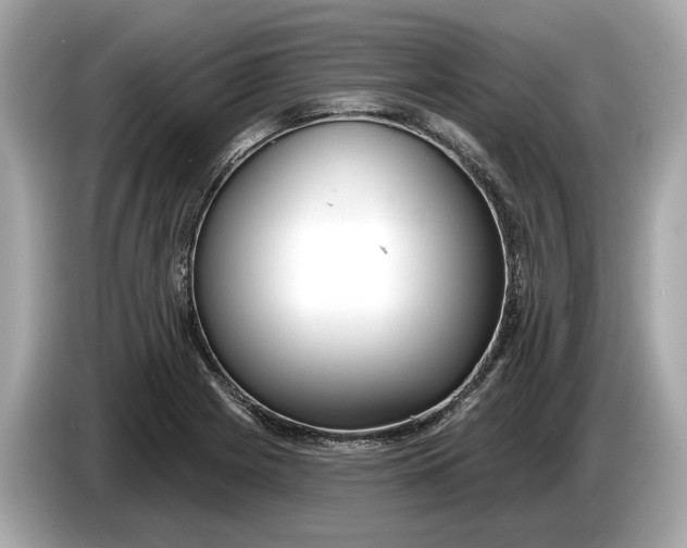 X0000085081225200703191316