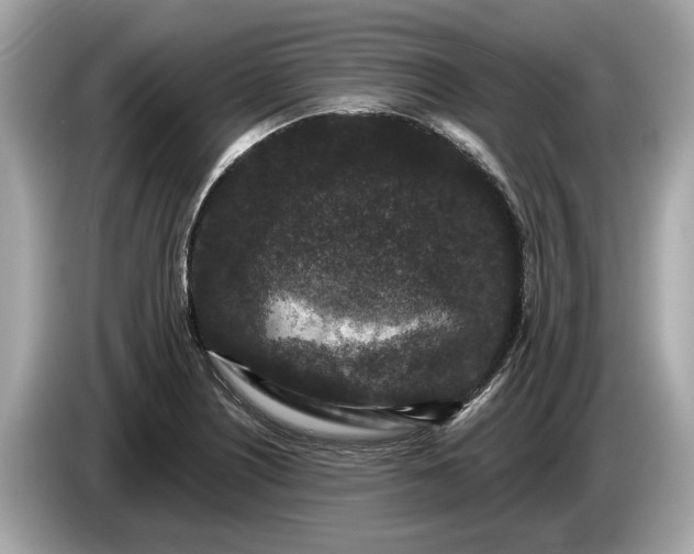 X0000085081226200703191316