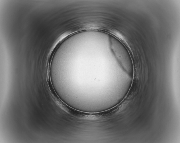 X0000085081227200703191316