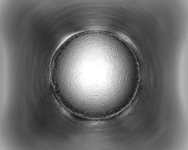 X0000085081228200703191316