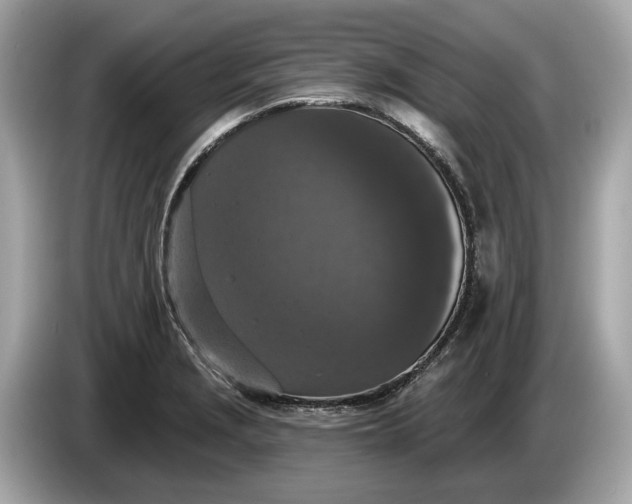 X0000085081229200703191316