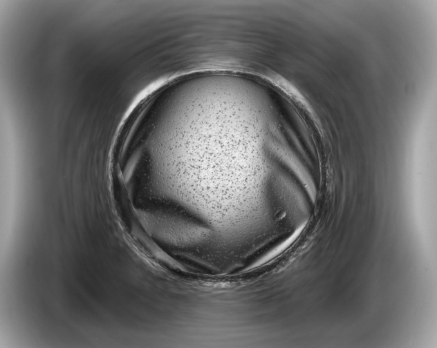 X0000085081230200703191316