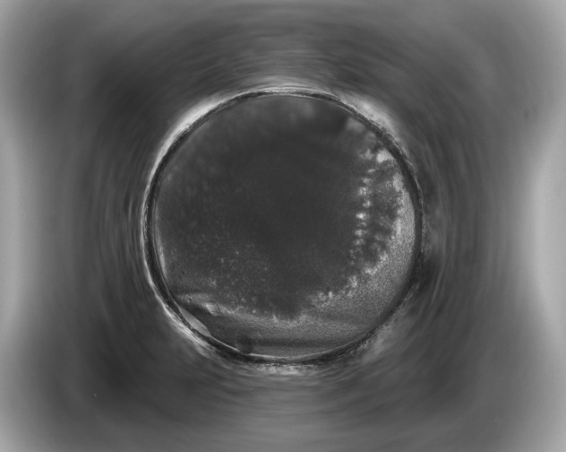 X0000085081231200703191316