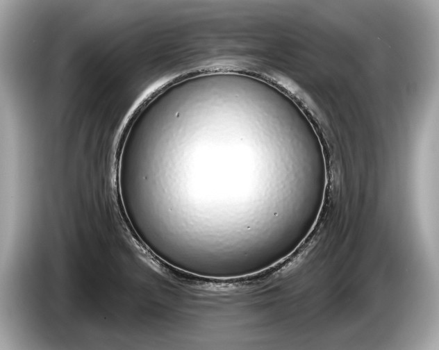 X0000085081232200703191316