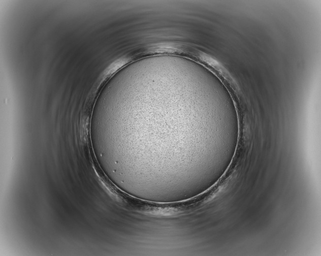 X0000085081233200703191316