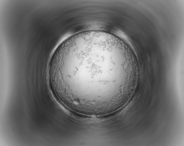 X0000085081235200703191316