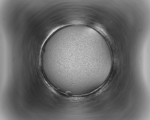 X0000085081236200703191316