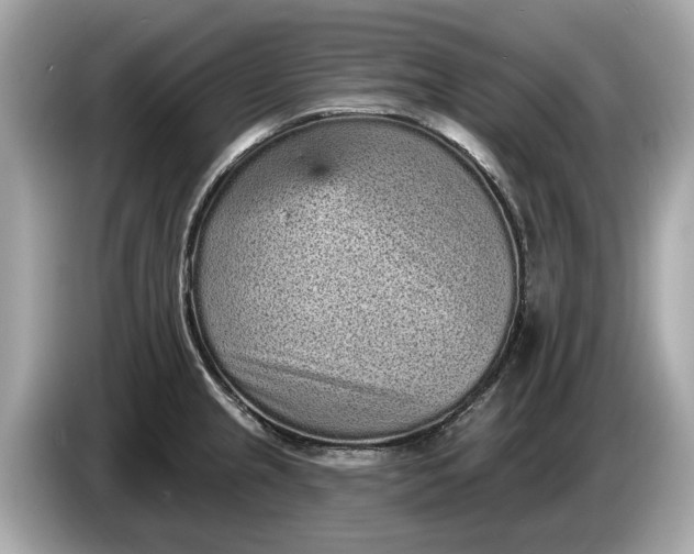 X0000085081237200703191316