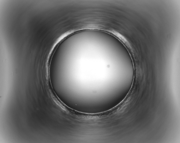 X0000085081238200703191316