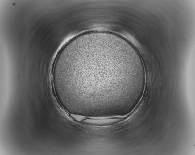 X0000085081240200703191316