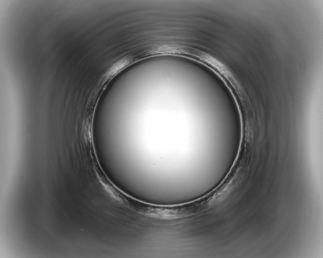 X0000085081241200703191316