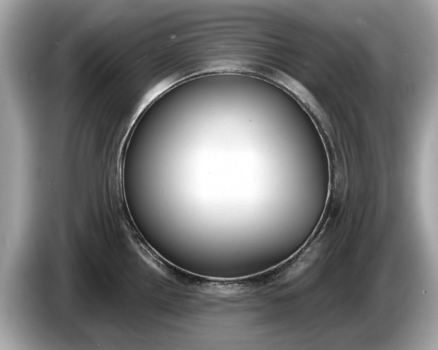 X0000085081242200703191316