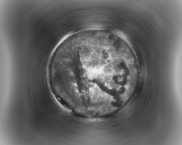 X0000085081243200703191317