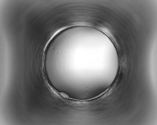 X0000085081244200703191317