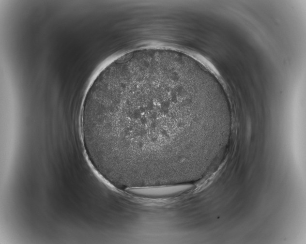 X0000085081247200703191317