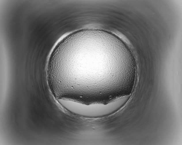 X0000085081248200703191317