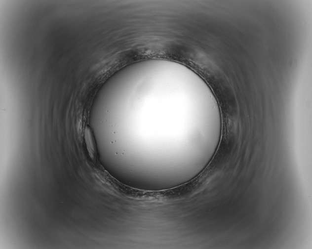 X0000085081250200703191316