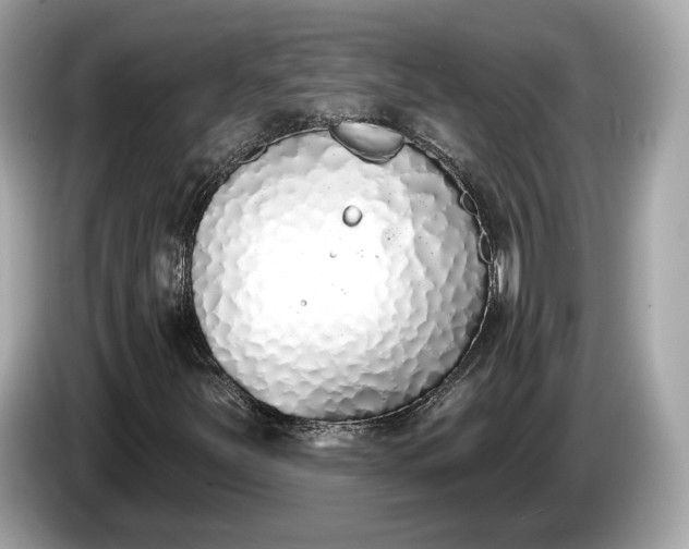 X0000085081251200703191316