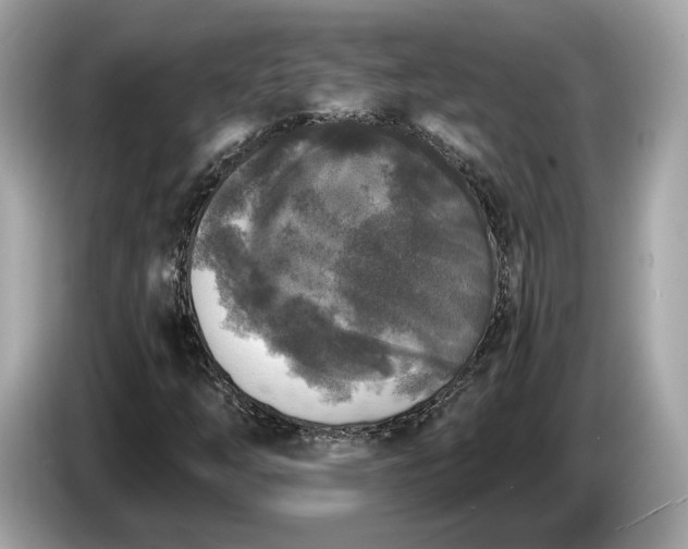 X0000085081254200703191316