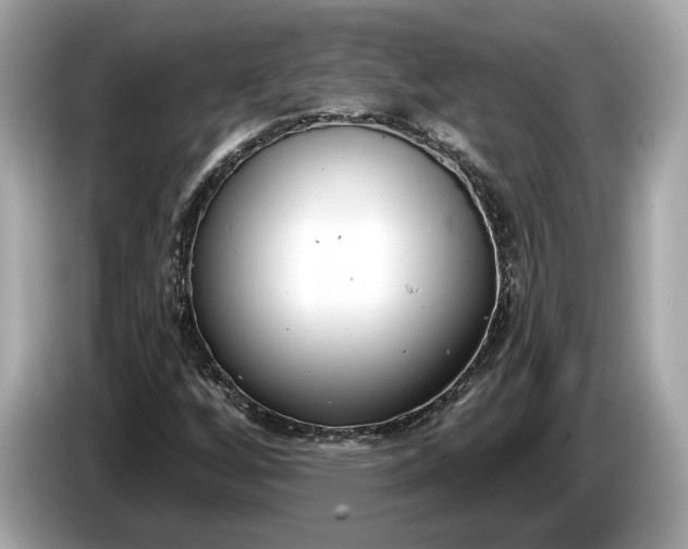 X0000085081256200703191316