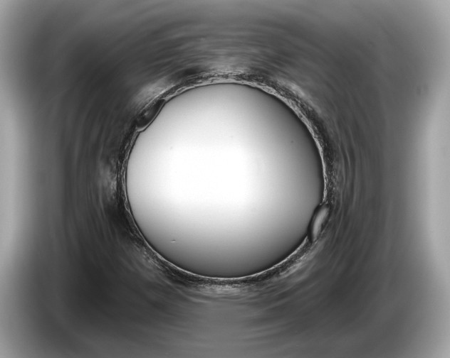 X0000085081257200703191316