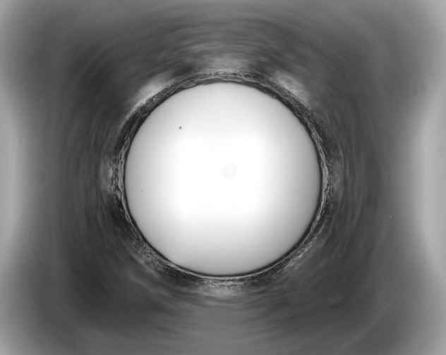 X0000085081258200703191316