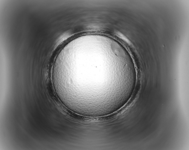 X0000085081259200703191316