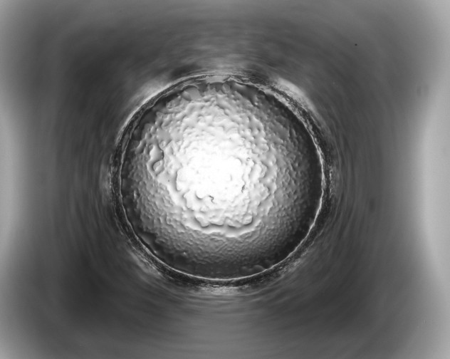 X0000085081260200703191316