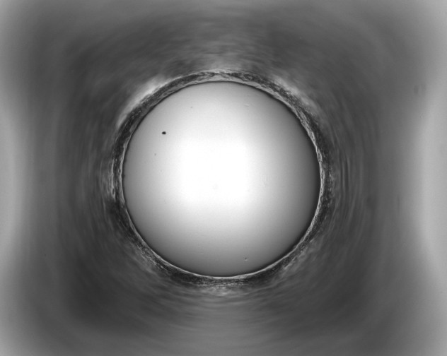 X0000085081262200703191316