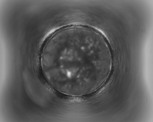 X0000085081263200703191316