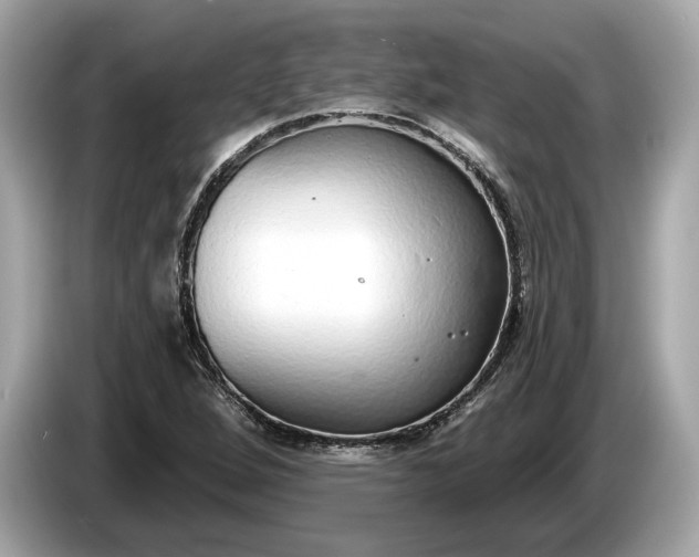 X0000085081264200703191316