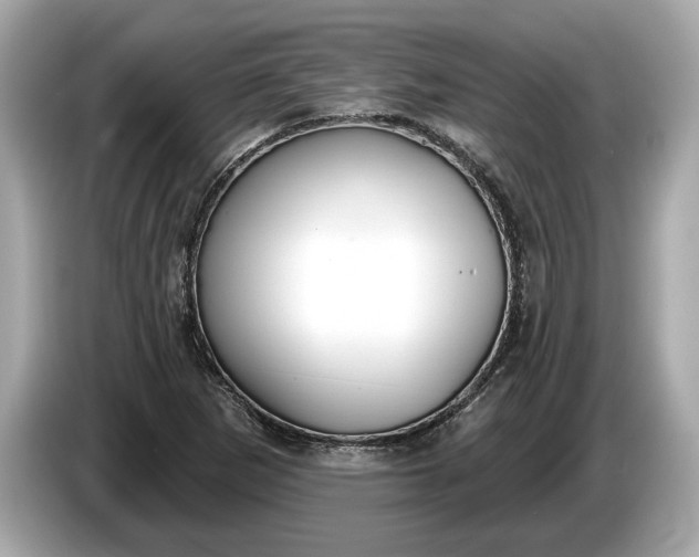 X0000085081265200703191316