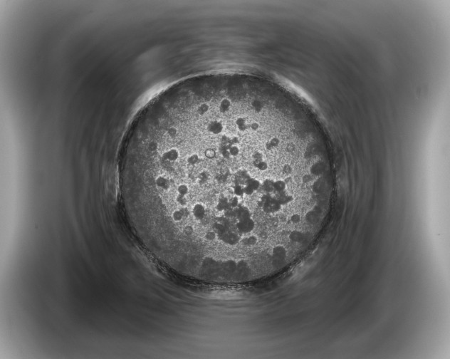 X0000085081267200703191316