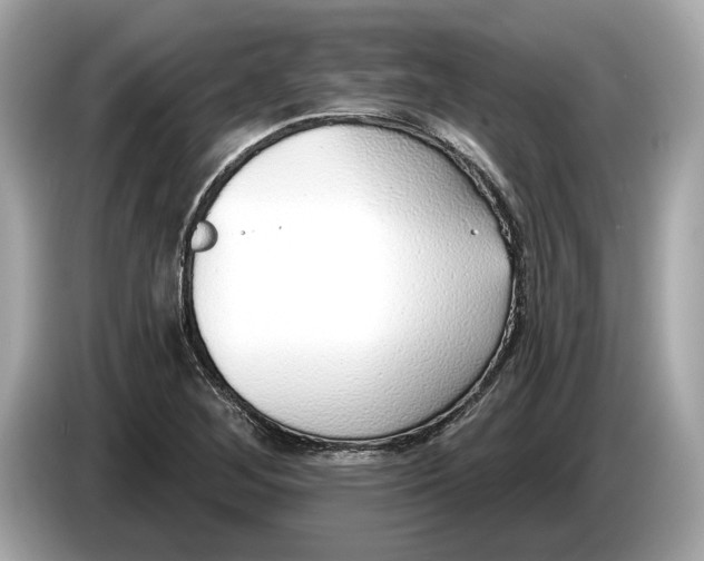 X0000085081268200703191316