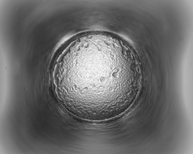 X0000085081271200703191316