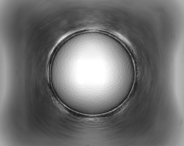 X0000085081272200703191316