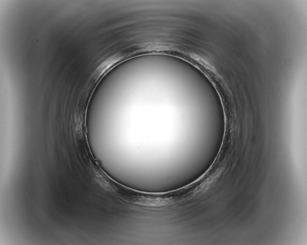 X0000085081273200703191316