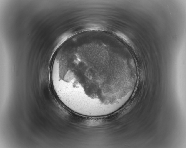 X0000085081274200703191315