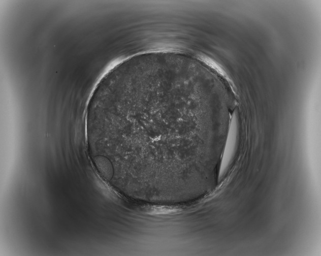 X0000085081275200703191315